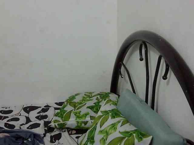 Bunnygreen webcam