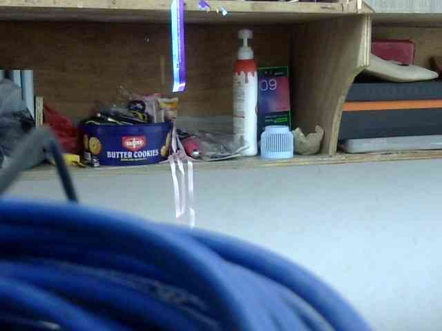 Bunnygreen webcam