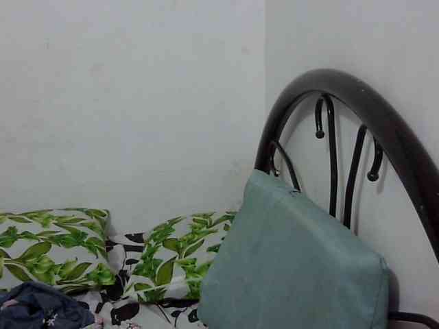 Bunnygreen webcam