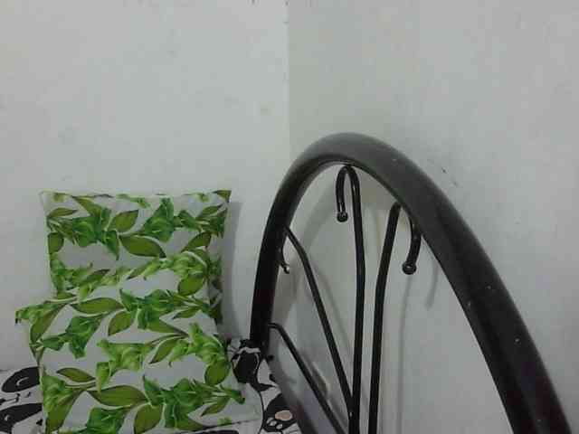 Bunnygreen webcam