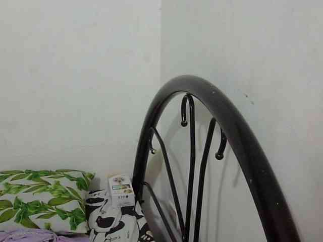 Bunnygreen webcam