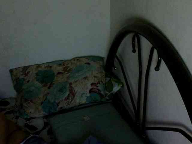 Bunnygreen webcam