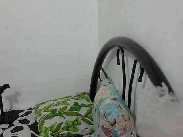 Bunnygreen webcam