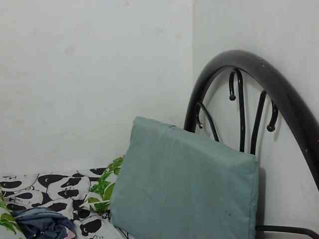 Bunnygreen webcam