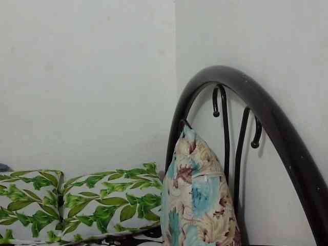 Bunnygreen webcam