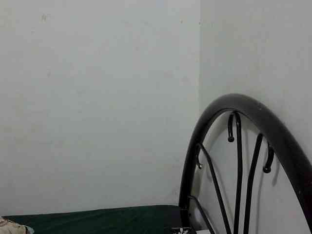 Bunnygreen webcam