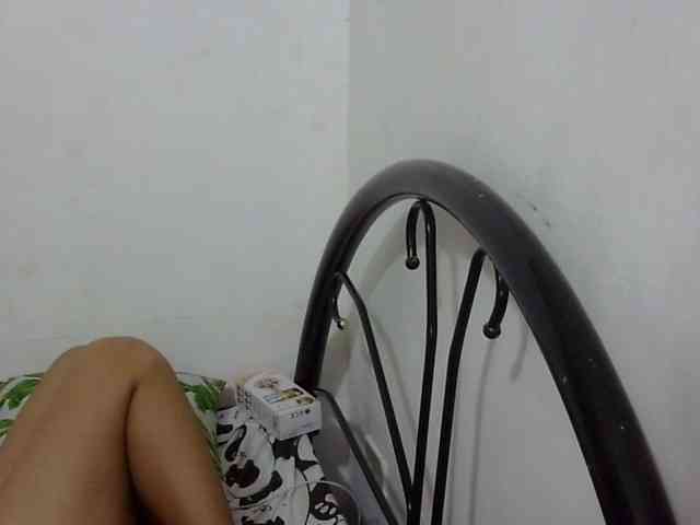 Bunnygreen webcam