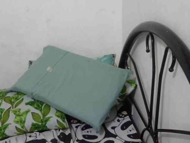 Bunnygreen webcam