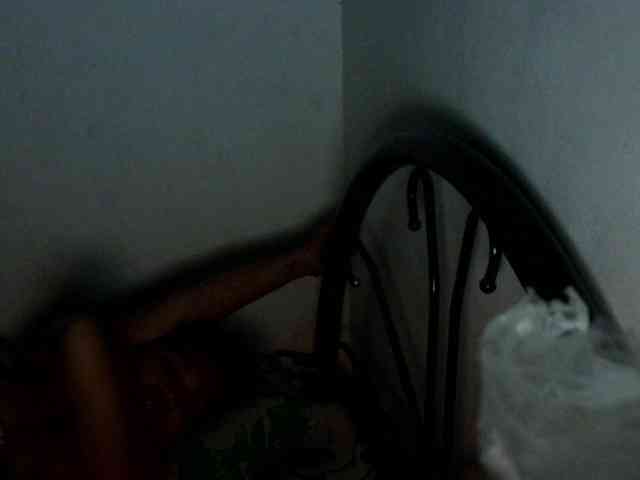 Bunnygreen webcam
