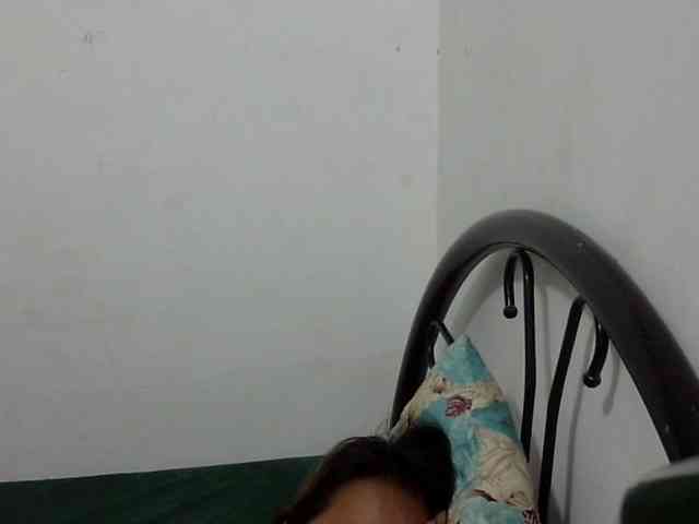 Bunnygreen webcam