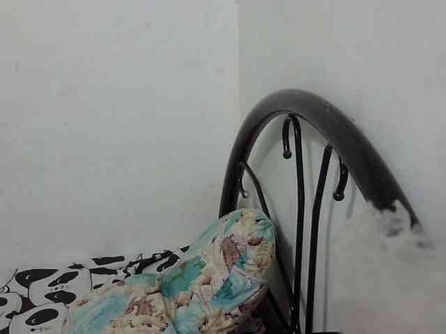 Bunnygreen webcam