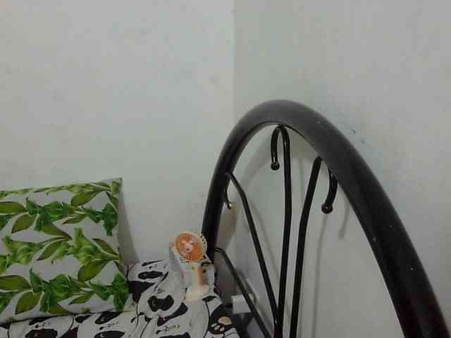 Bunnygreen webcam