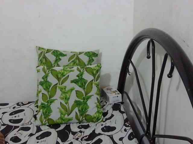 Bunnygreen webcam