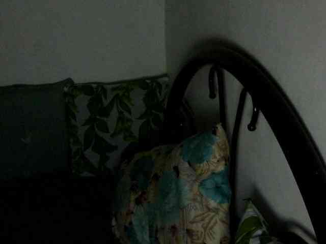 Bunnygreen webcam