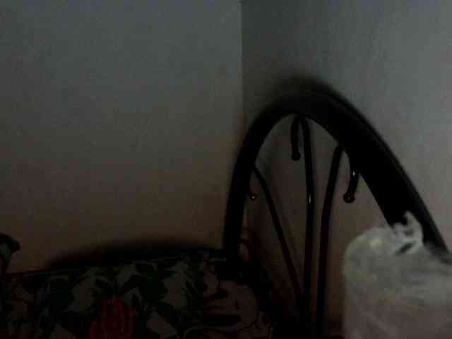 Bunnygreen webcam