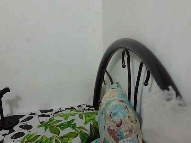 Bunnygreen webcam