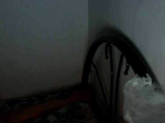 Bunnygreen webcam