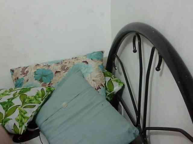 Bunnygreen webcam