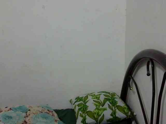 Bunnygreen webcam