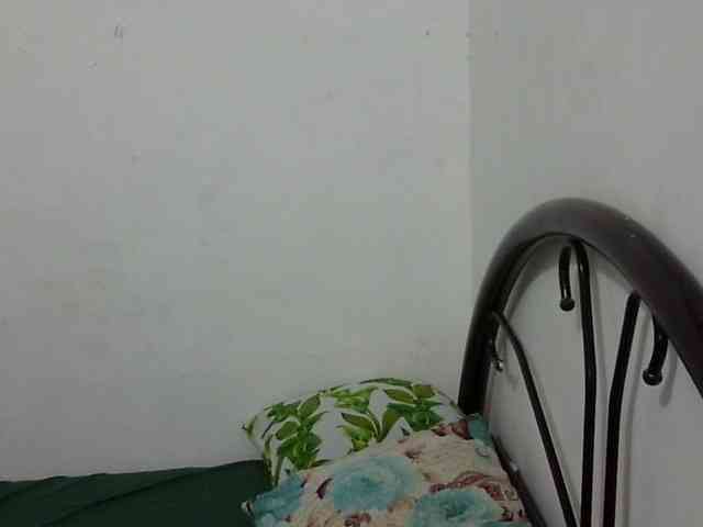 Bunnygreen Live Webcam on BongaCams