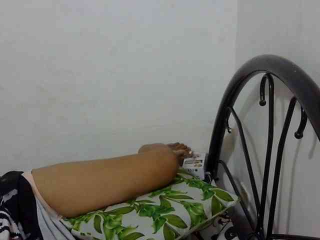 Bunnygreen webcam