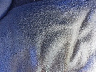 Piff_Pawlady Porn Show