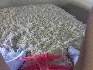 Piff_Pawlady Porn Show