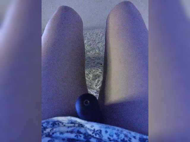 amazingtits-5D live cam on BongaCams