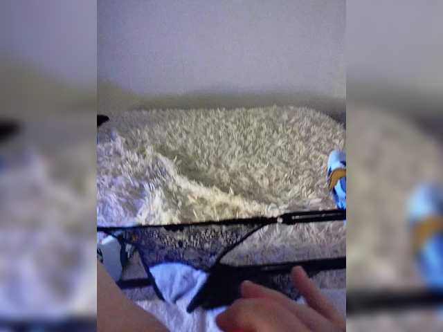 amazingtits-5D live cam on BongaCams