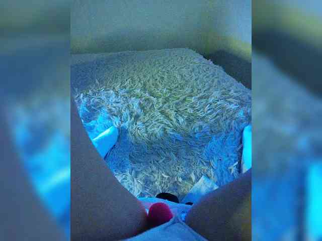 Piff_Pawlady webcam