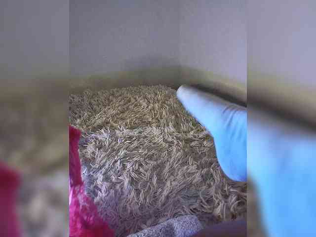 Piff_Pawlady webcam