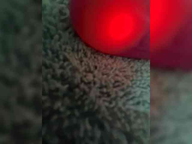 Piff_Pawlady webcam