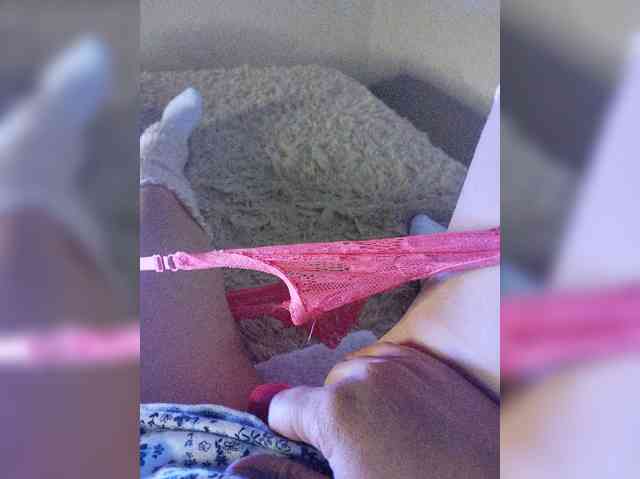 Piff_Pawlady webcam