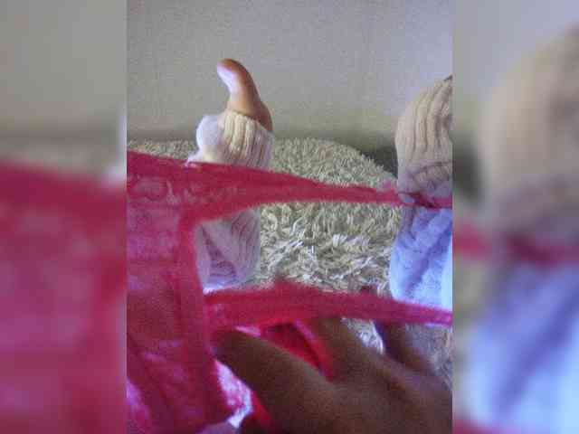 Piff_Pawlady webcam