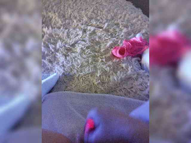 Piff_Pawlady webcam