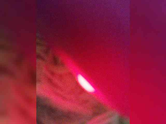 Piff_Pawlady webcam