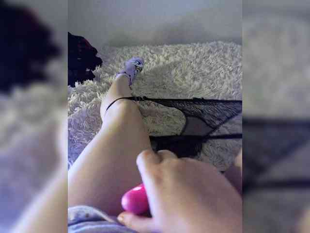 Piff_Pawlady webcam
