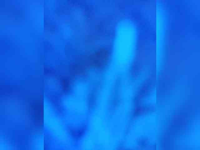 Piff_Pawlady webcam