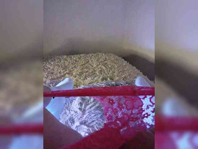 Piff_Pawlady webcam