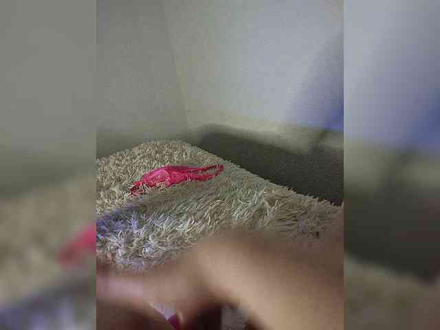 Piff_Pawlady webcam