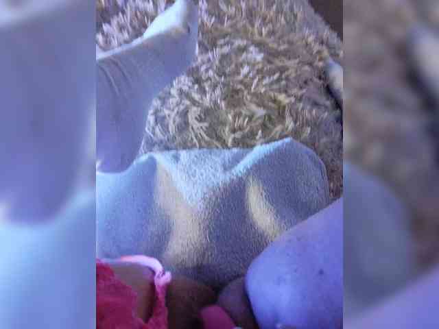 Piff_Pawlady webcam