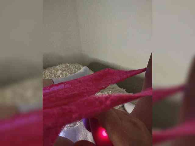 Piff_Pawlady webcam