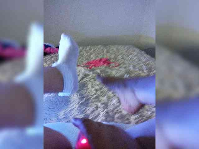Piff_Pawlady webcam