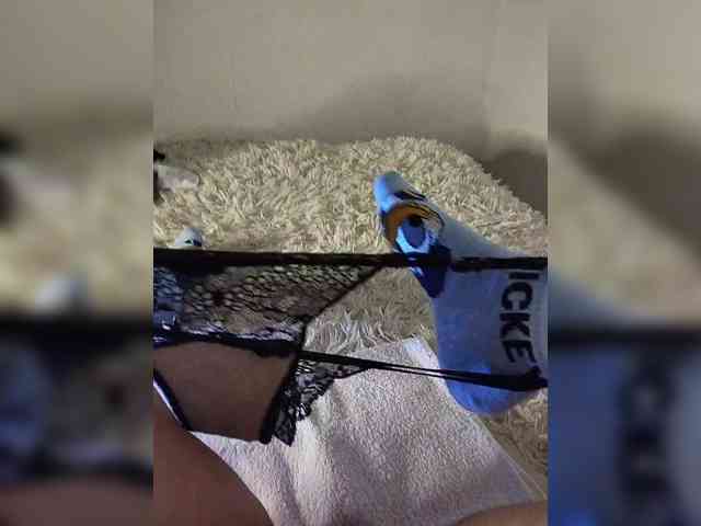 Piff_Pawlady webcam