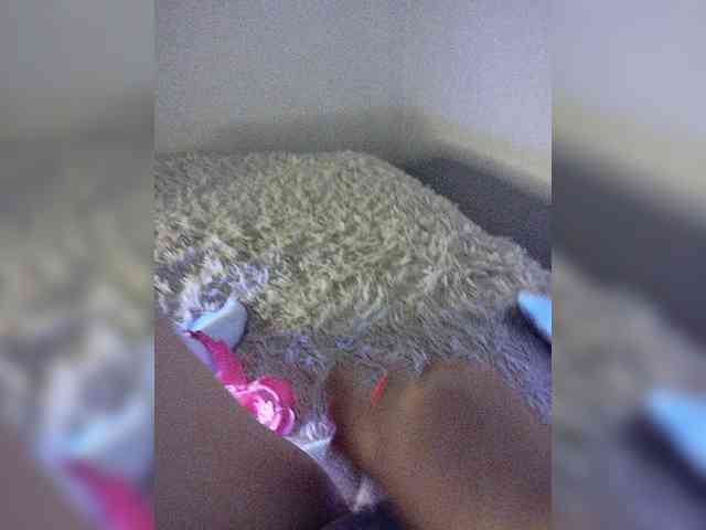 Piff_Pawlady webcam