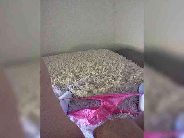 Piff_Pawlady webcam