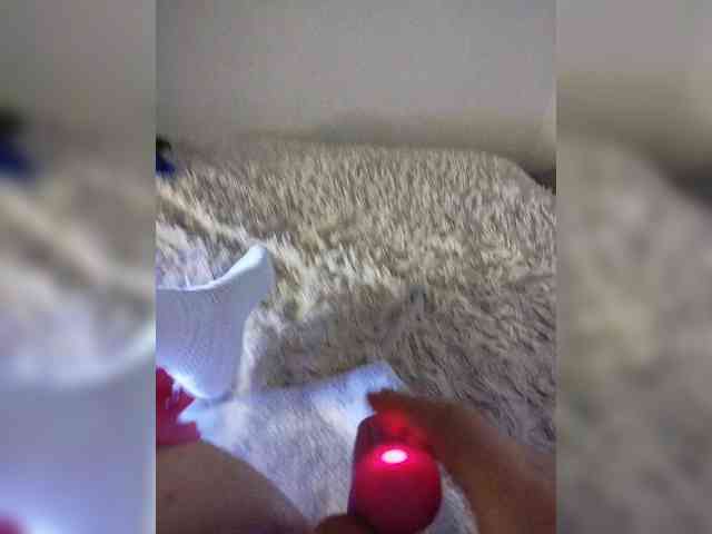 Piff_Pawlady webcam
