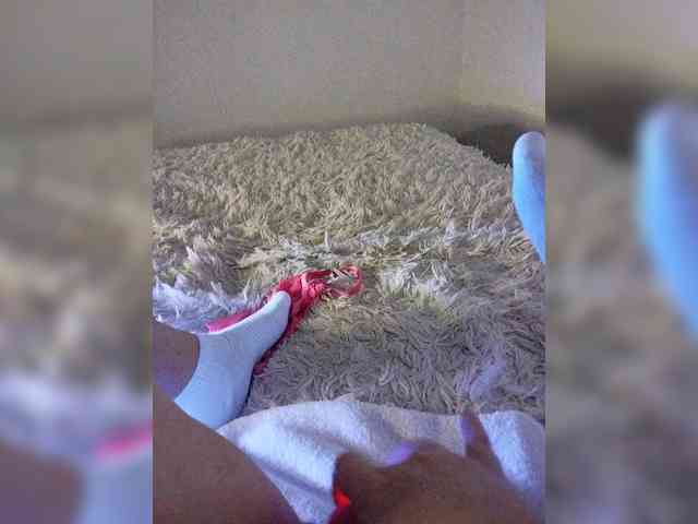 Piff_Pawlady webcam