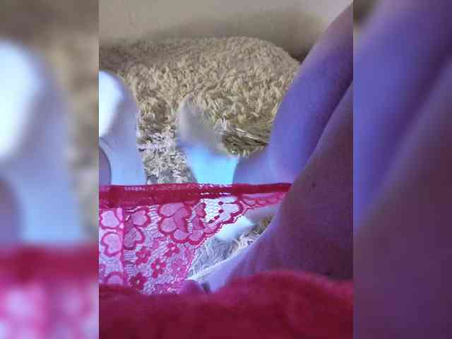 Piff_Pawlady webcam