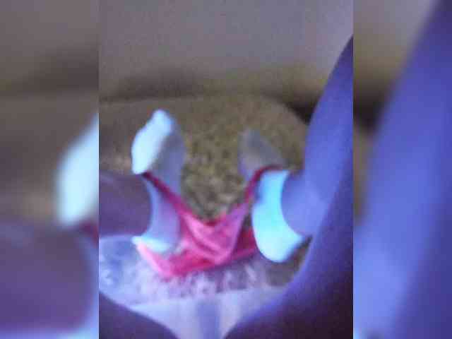 Piff_Pawlady webcam
